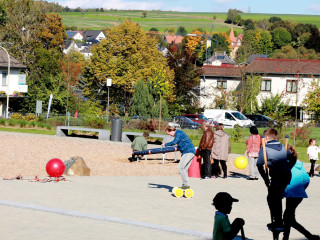 Foto 186641 im Album