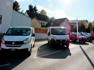 Foto 186686 im Album