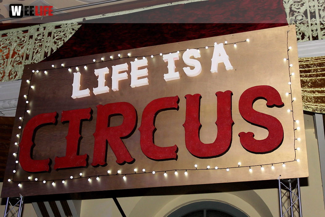 10 Jahre Filmtageparty Life Is A Circus Enjoy The Show