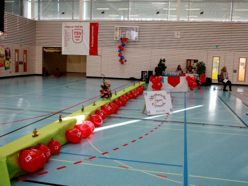 9. Internationaler Rudolf Lion Cup Rythmische Sportgymnastik – Foto 18