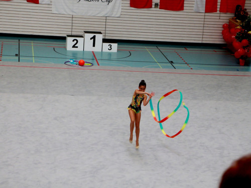 9. Internationaler Rudolf Lion Cup Rythmische Sportgymnastik – Foto 59
