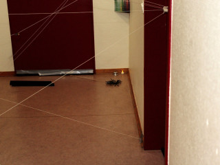 Foto 189253 im Album