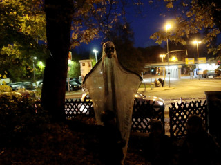 Foto 189262 im Album