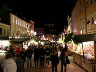 Foto 189725 im Album