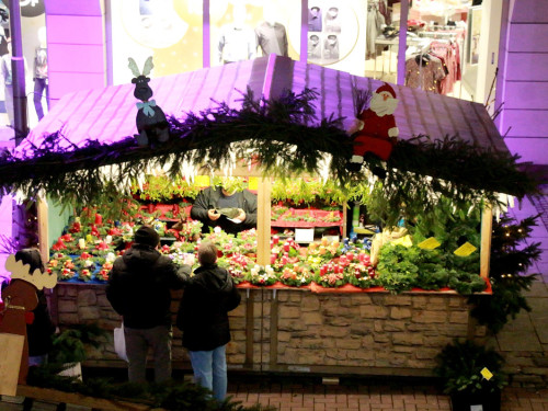 Hofer Weihnachtsmarkt 2016 mit Gery Gerspitzer – Foto 21
