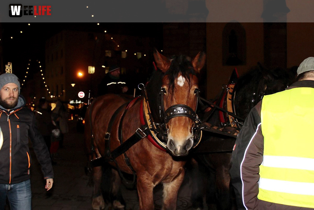 Offizielle Eröffnung Hofer Weihnachtsmarkt  2016
