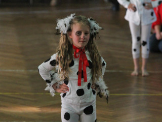 Foto 19139 im Album