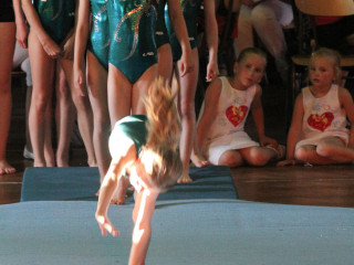 Foto 19190 im Album