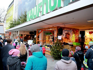 Foto 193064 im Album