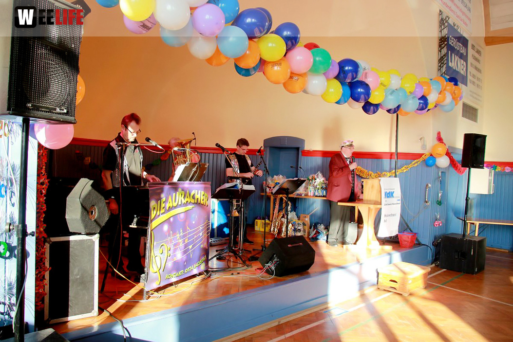 Fasching VDK Kreisverband Hof mit Soul-City-Dancers 28.1.2017