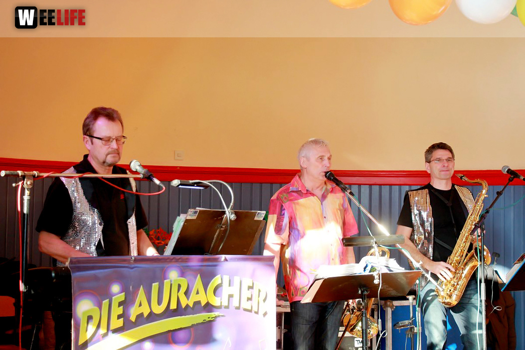 Fasching VDK Kreisverband Hof mit Soul-City-Dancers 28.1.2017
