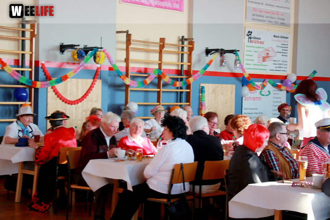 Fasching VDK Kreisverband Hof mit Soul-City-Dancers 28.1.2017