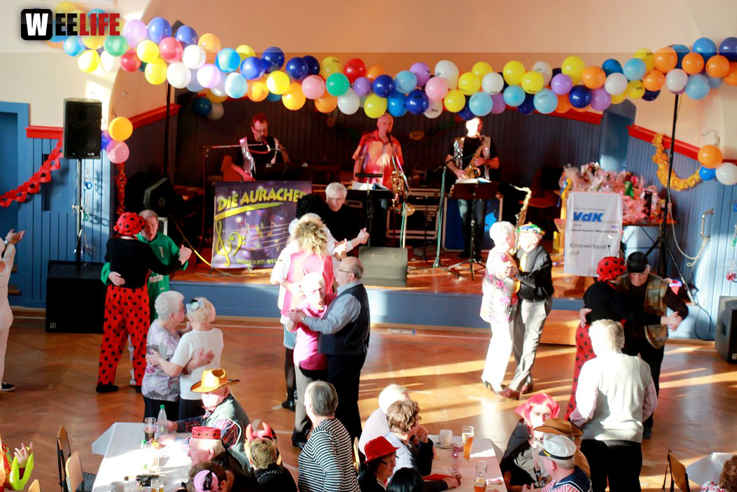 Fasching VDK Kreisverband Hof mit Soul-City-Dancers 28.1.2017