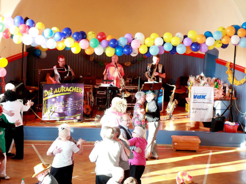 Fasching VDK Kreisverband Hof mit Soul-City-Dancers 28.1.2017 – Foto 33