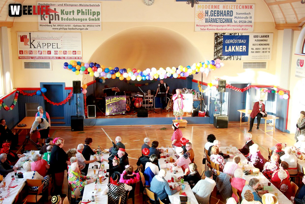 Fasching VDK Kreisverband Hof mit Soul-City-Dancers 28.1.2017