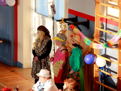 Fasching VDK Kreisverband Hof mit Soul-City-Dancers 28.1.2017 – Foto 55