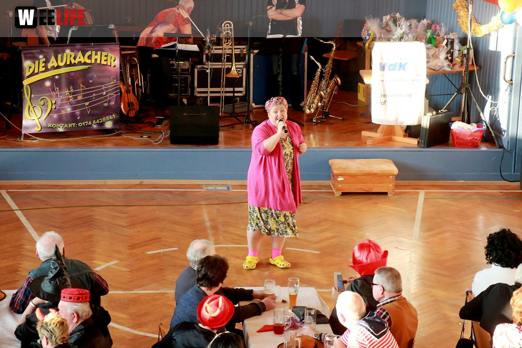 Fasching VDK Kreisverband Hof mit Soul-City-Dancers 28.1.2017