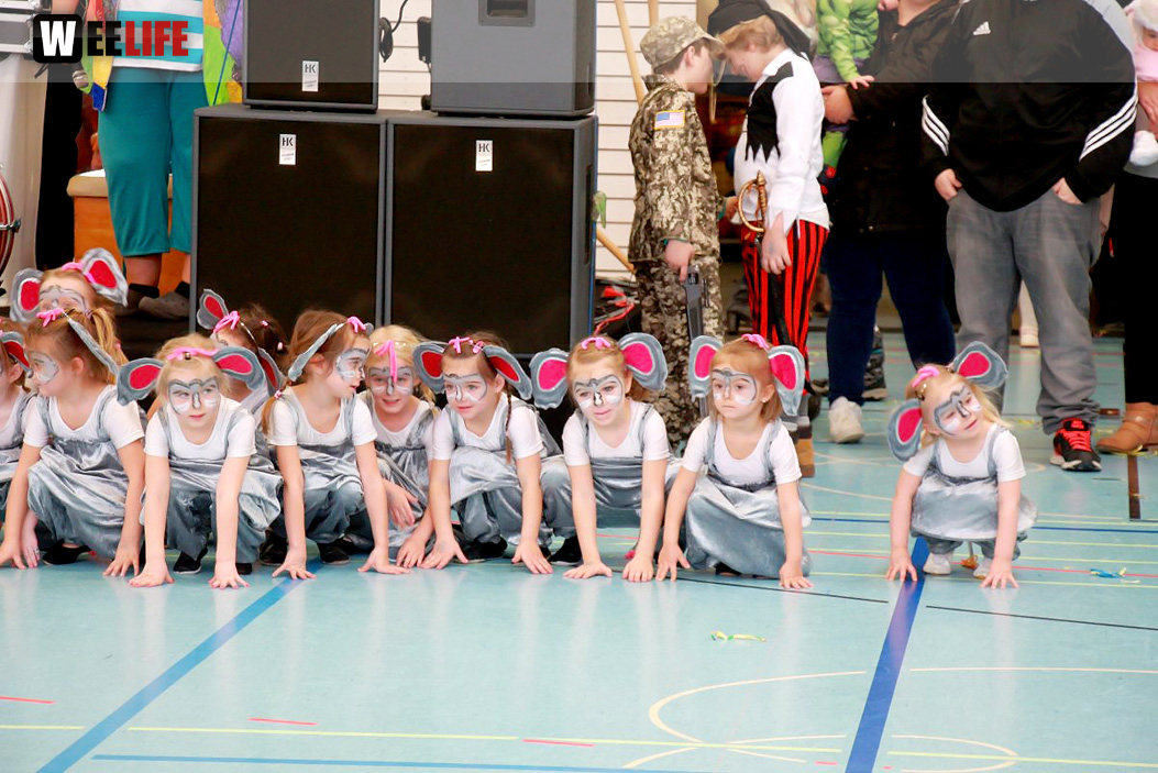 TSV Hof Kinderfasching