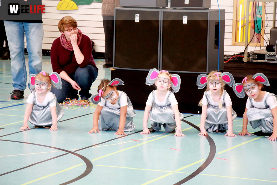 TSV Hof Kinderfasching