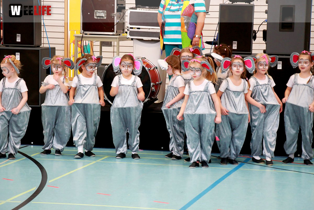TSV Hof Kinderfasching