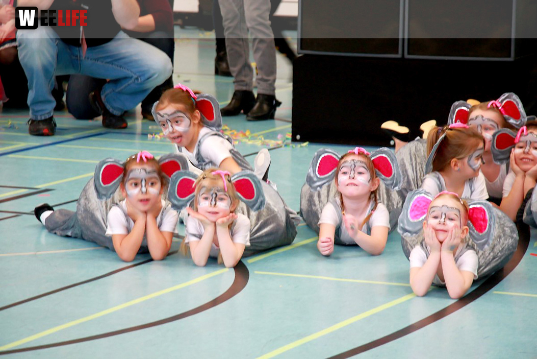 TSV Hof Kinderfasching