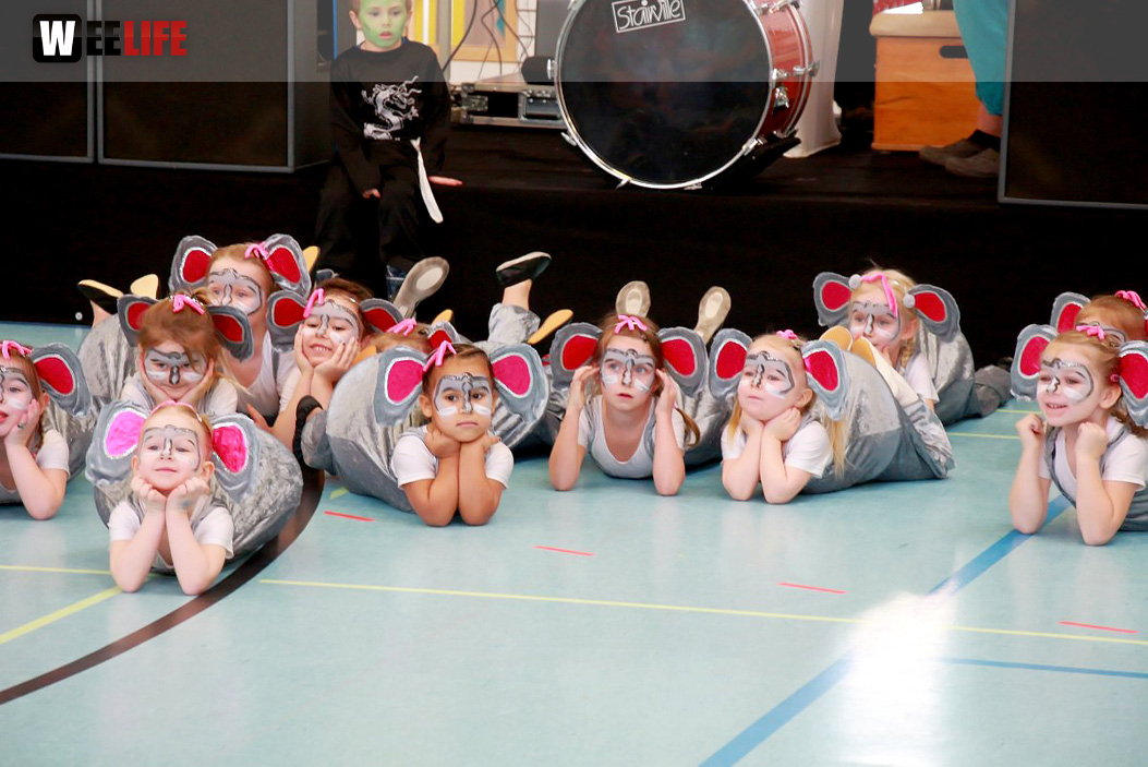TSV Hof Kinderfasching