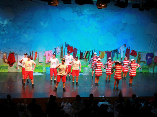 Soul-City-Dancers Prunksitzung 2017 Samstag – Foto 3