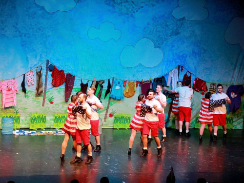 Soul-City-Dancers Prunksitzung 2017 Samstag – Foto 19