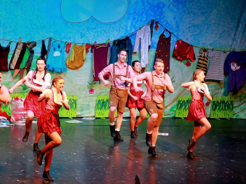 Soul-City-Dancers Prunksitzung 2017 Samstag – Foto 33