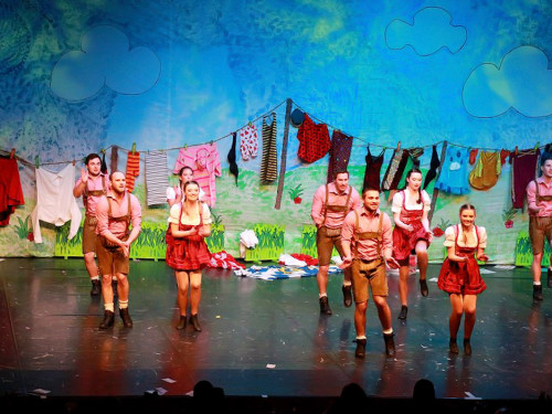 Soul-City-Dancers Prunksitzung 2017 Samstag – Foto 36