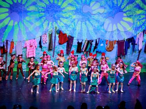 Soul-City-Dancers Prunksitzung 2017 Samstag – Foto 10