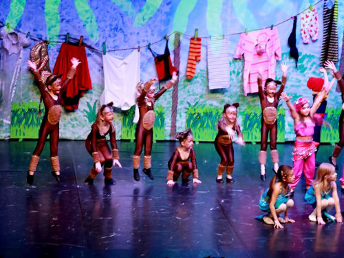 Soul-City-Dancers Prunksitzung 2017 Samstag – Foto 11