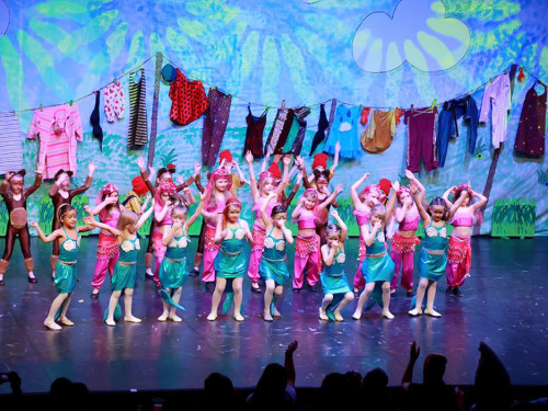 Soul-City-Dancers Prunksitzung 2017 Samstag – Foto 12