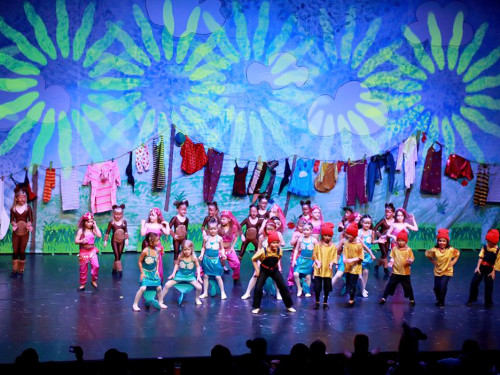 Soul-City-Dancers Prunksitzung 2017 Samstag – Foto 15