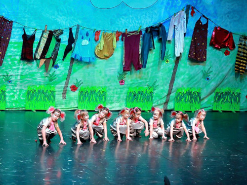 Soul-City-Dancers Prunksitzung 2017 Samstag – Foto 44