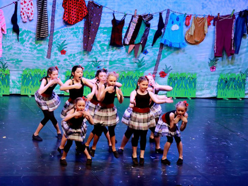 Soul-City-Dancers Prunksitzung 2017 Samstag – Foto 60