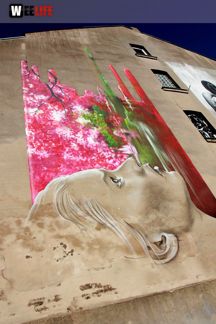 2.Bürgerfest Tasso sprayt 2.0 - Live Spraying