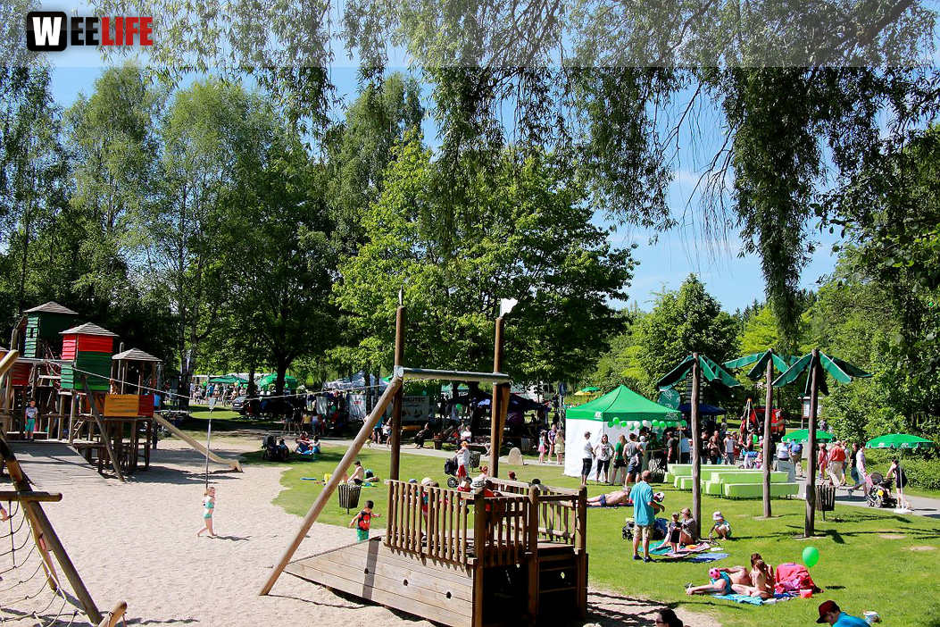 AOK Familientag