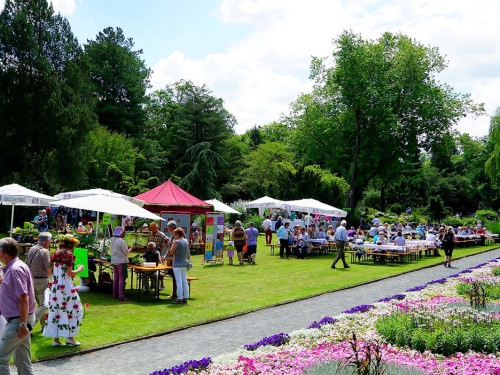 Rosenfest – Foto 21