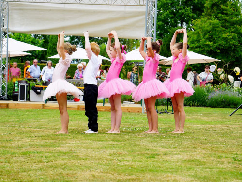Rosenfest – Foto 53