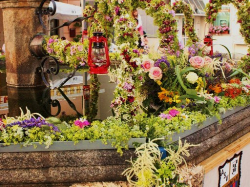 Brunnenfest Wunsiedel – Foto 14