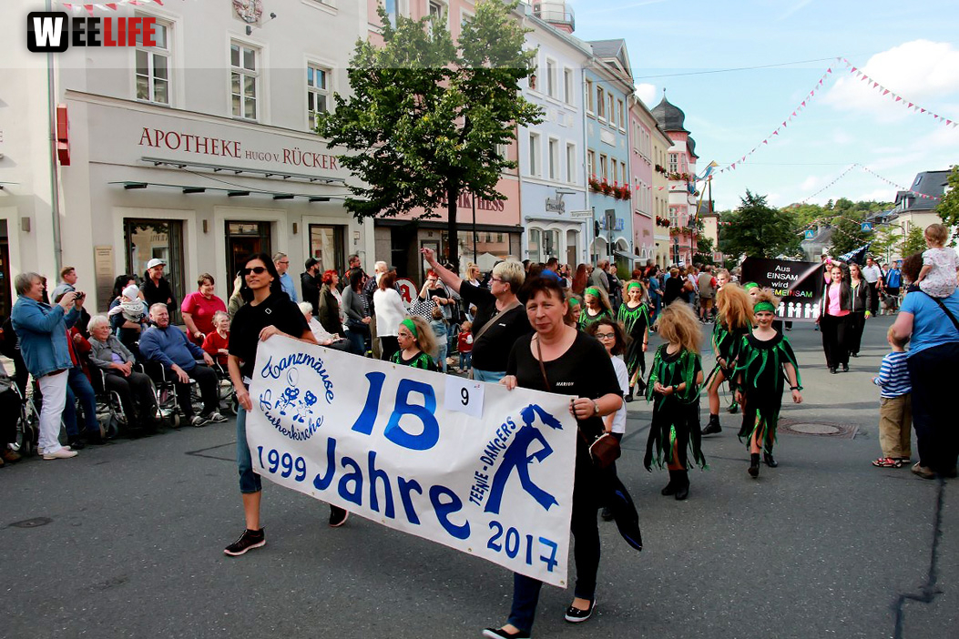 Volksfestumzug Hofer Volksfest 2017 28.7.17