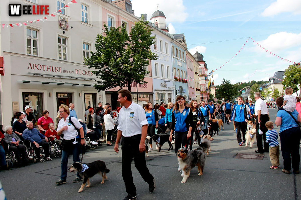 Volksfestumzug Hofer Volksfest 2017 28.7.17