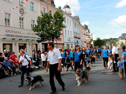 Volksfestumzug Hofer Volksfest 2017 28.7.17 – Foto 89