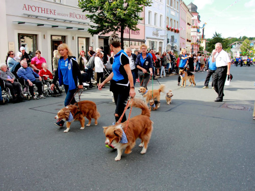 Volksfestumzug Hofer Volksfest 2017 28.7.17 – Foto 93