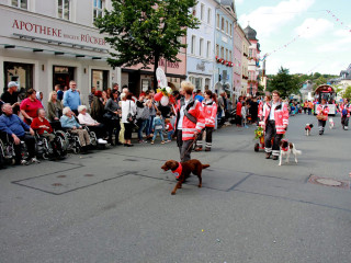 Vorschau des vorherigen Fotos