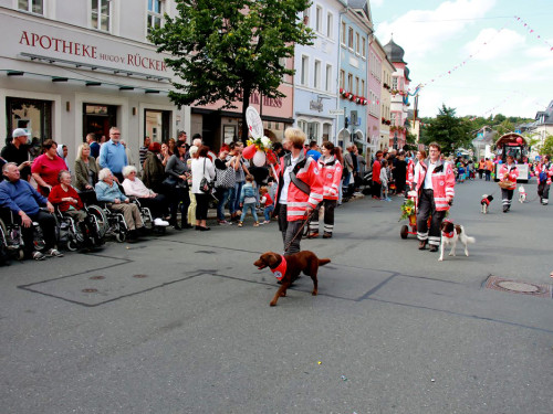 Volksfestumzug Hofer Volksfest 2017 28.7.17 – Foto 106
