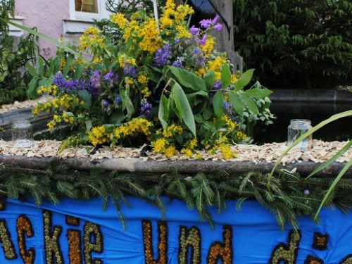 Brunnenfest Wunsiedel – Foto 46