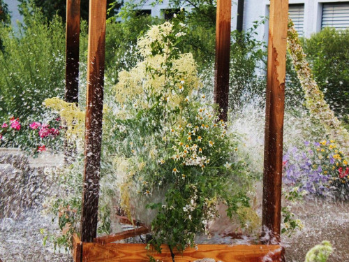Brunnenfest Wunsiedel – Foto 66