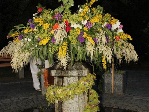 Brunnenfest Wunsiedel – Foto 111